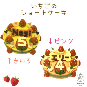 N06