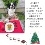 2025xmastonakai