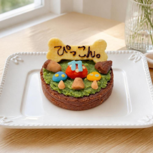 mashrooms-mini
