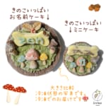 mushrooms-mini2023