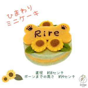 sunflower2023-mini