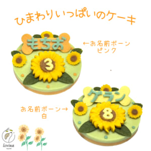 sunflower2023
