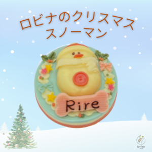 2025xmassnowman